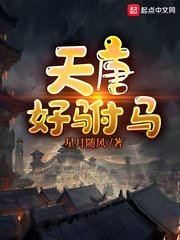 天唐好驸马TXT