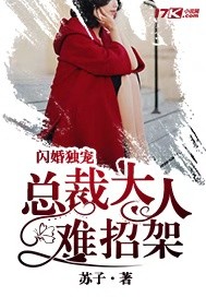 闪婚独宠:总裁大人难招架 苏子