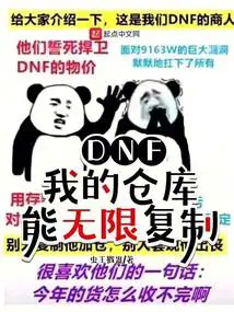 dnf仓库取不出来东西