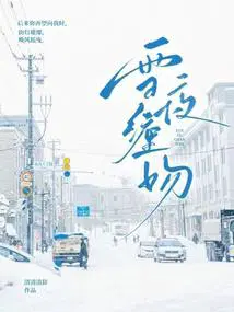 雪夜拥衾写的小说