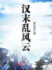 乱风云皮肤